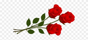 Red Flower Clipart Rose Pencil And Color Red Valentines - Red Roses Png