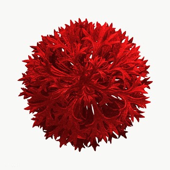 Red flower looking like a coronavirus cell design element | Free  transparent png - 2316229