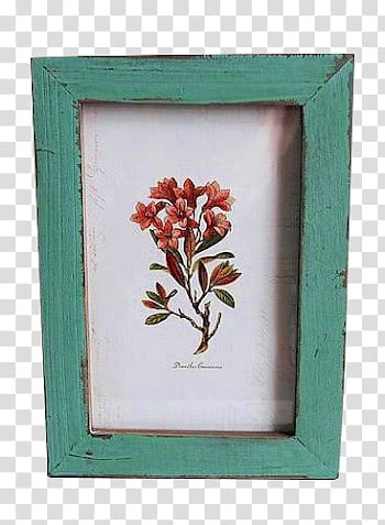 , red flower painting with teal frame transparent background PNG clipart