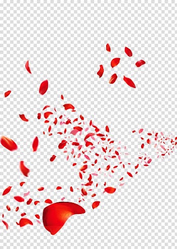 Red flower petals illustration, Beach rose Petal Flower , fly transparent background PNG clipart