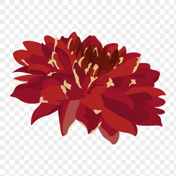 Red flower png sticker, realistic | Free PNG - rawpixel