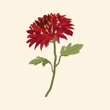 Red flower sticker, realistic chrysanthemum | Free Vector Illustration - rawpixel