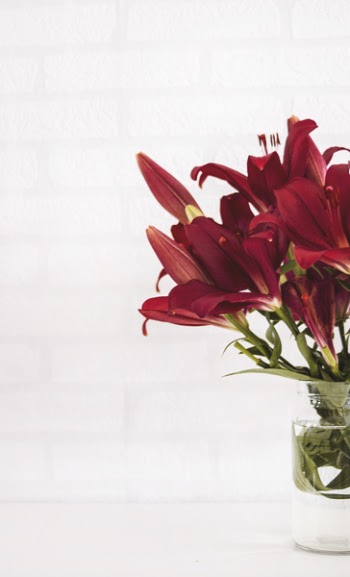 Red Flowers