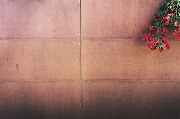 Red Flowers