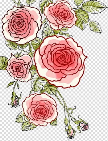 Red flowers illustration, Rose Drawing, Hand painted roses transparent background PNG clipart