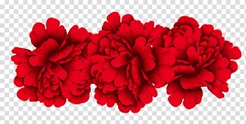 Red flowers illustrationb, Red Moutan peony, Peony transparent background PNG clipart