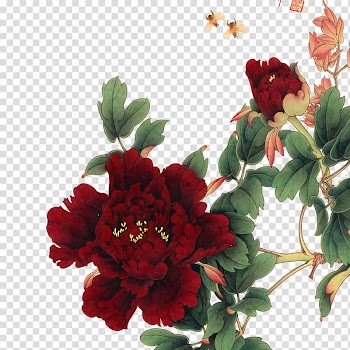Red flowers, Moutan peony Flower , peony transparent background PNG clipart