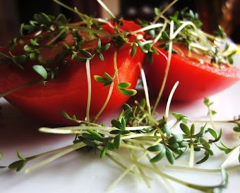 Red Food and Leaf Vegetable