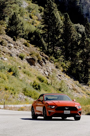 Red Ford Mustang