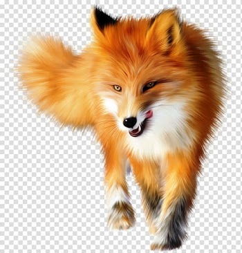 Red fox Arctic fox , forest animal transparent background PNG clipart