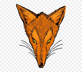 Red Fox Arctic Fox Gray Wolf Fox Television Stations - Coat Of Arm Animals Fox