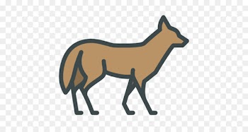 Red fox Coyote Cougar Donkey Dog - donkey 