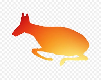 Red fox Dog Canidae Mammal Clip art -  