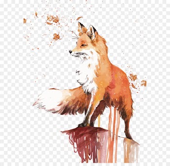 Red fox Lovers don't finally meet somewhere. They're in each other all along. Drawing - Vector Fox 