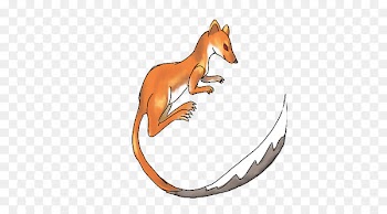 Red fox Macropods Dog Mammal Canidae - appleseed background 
