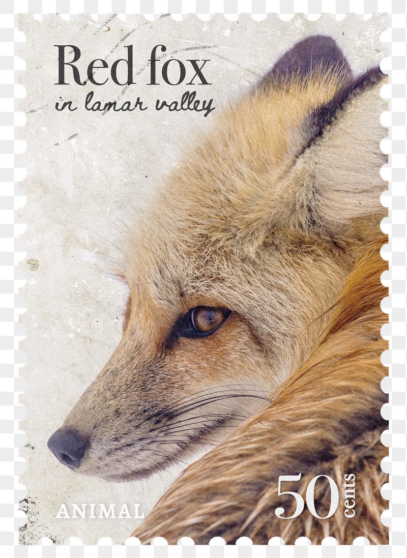 Red fox png post stamp | Free PNG - rawpixel