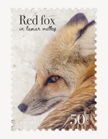 Red fox postage stamp, animal | Free PSD - rawpixel