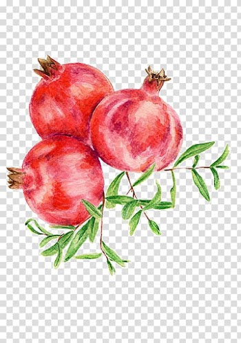 Red fruit art, Pomegranate Fruit Food Pastry Rock candy, pomegranate transparent background PNG clipart