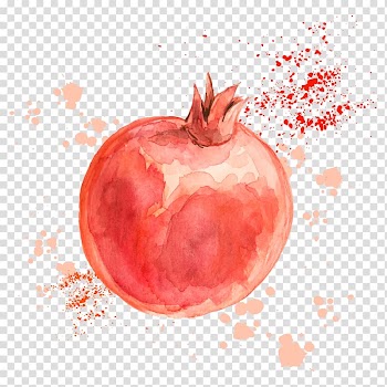 Red fruit illustration, Pomegranate Drawing Fruit Illustration, Drawing pomegranate transparent background PNG clipart