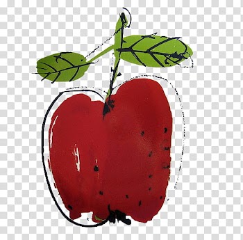 Red fruit illustration transparent background PNG clipart