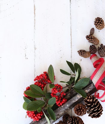 Red Fruits and Brown Pine Cones on White Wooden Surface