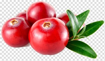Red fruits, Cranberry , cranberry transparent background PNG clipart