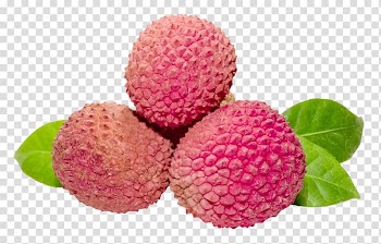 Red fruits illustration, Lychee Frutti di bosco Fruit, Lychee transparent background PNG clipart