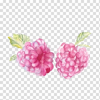 Red fruits , Red raspberry Fruit Watercolor painting, Strawberry transparent background PNG clipart