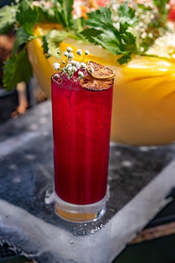 Red Glass  with Garnished Beverage