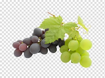 Red grape fruit, Kyoho Wine Grape seed oil, White grape,grape transparent background PNG clipart