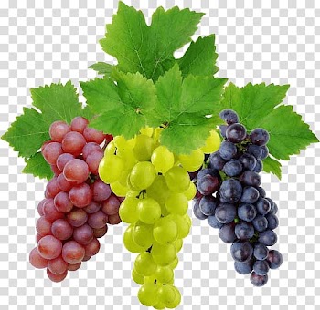 Red, green, and purple grapes, Wine Grape Fruit Food, Grape transparent background PNG clipart