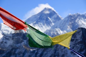 red, green, and yellow banner