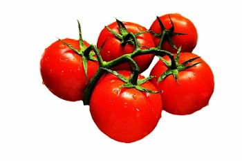Red Green Tomato Fruit