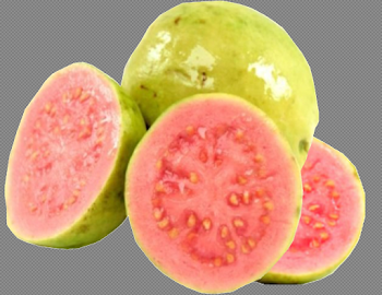 Red Guava PNG Free Download