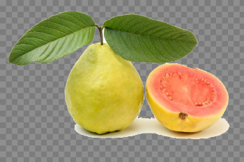 Red Guava Transparent Image