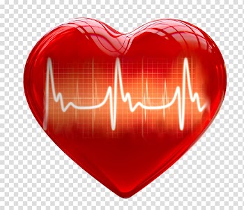 Red heart illustration, Heart 3D computer graphics , Red hearts heart beat transparent background PNG clipart
