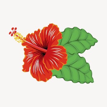 Red hibiscus clipart, flower illustration | Free PSD - rawpixel