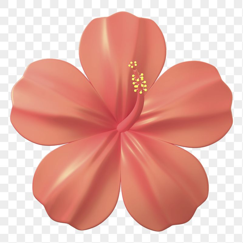 Red hibiscus png sticker, 3D | Free PNG - rawpixel