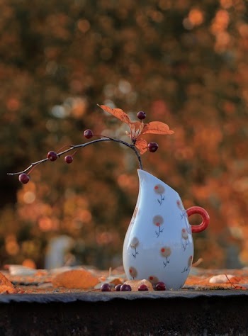 Red Holly Berries in White Vase