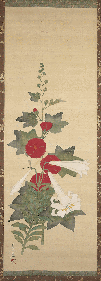 red hollyhock at center, with several | Free Photo - rawpixel
