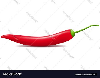 Red hot chili pepper vector image