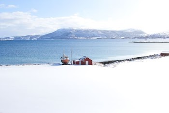 red house between sea and snow covered sand