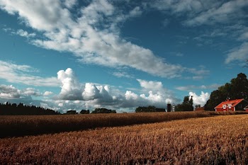 Red House Under Sky