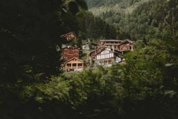 Red Houses Surrounded by Green Leafed Trees