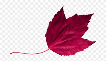 Red Leaf 2 - Wedding