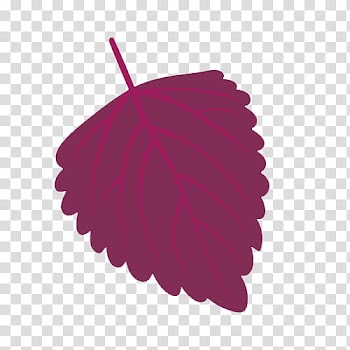 Red leaf transparent background PNG clipart