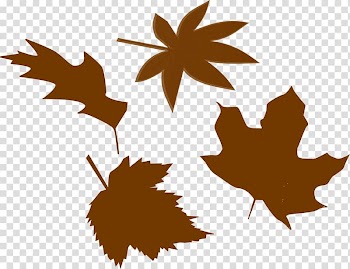 Red leaf, yellow leaf Autumn leaf color, Colorful Leaves transparent background PNG clipart