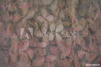 Red leaves background