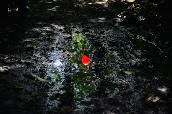 Red Light on Body of Water
