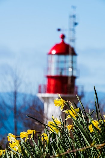 Red Lighthouse